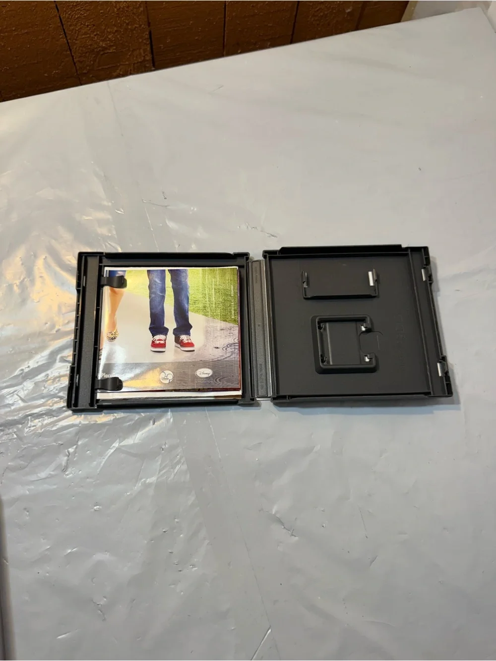 Nintendo Ds Wizards of Waverly Place case only